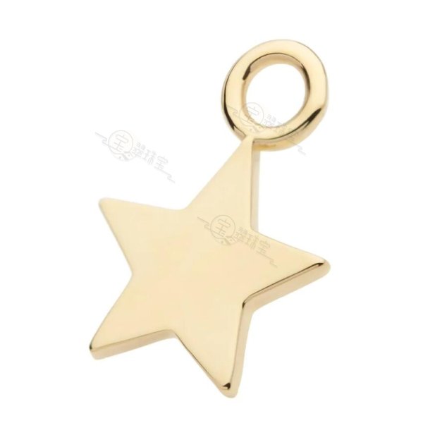 14K Gold Star Charm