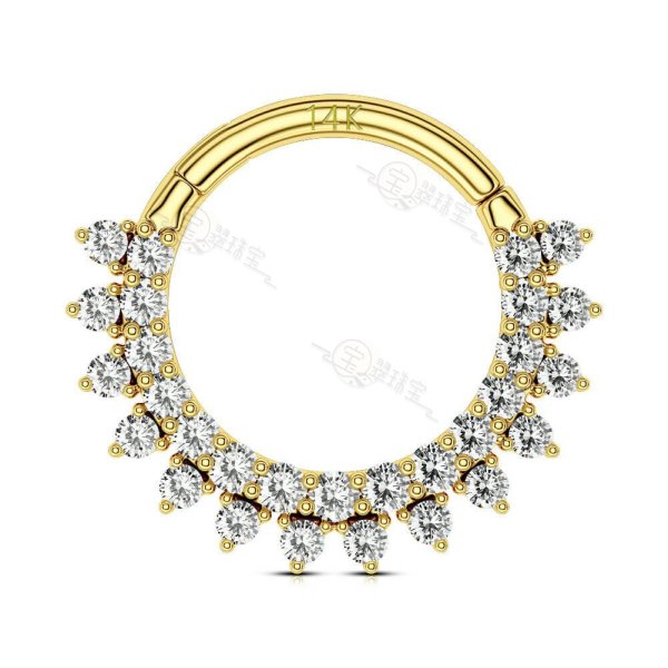 14K Gold Hinged Segment Hoop Rings with Forward Facing Double Lined CZ Set