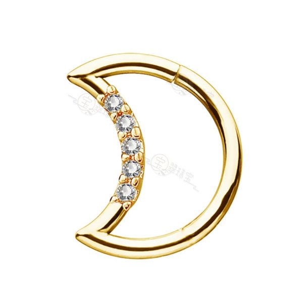 14K Real Gold 16G CZ Paved Moon Shape Daith Earrings