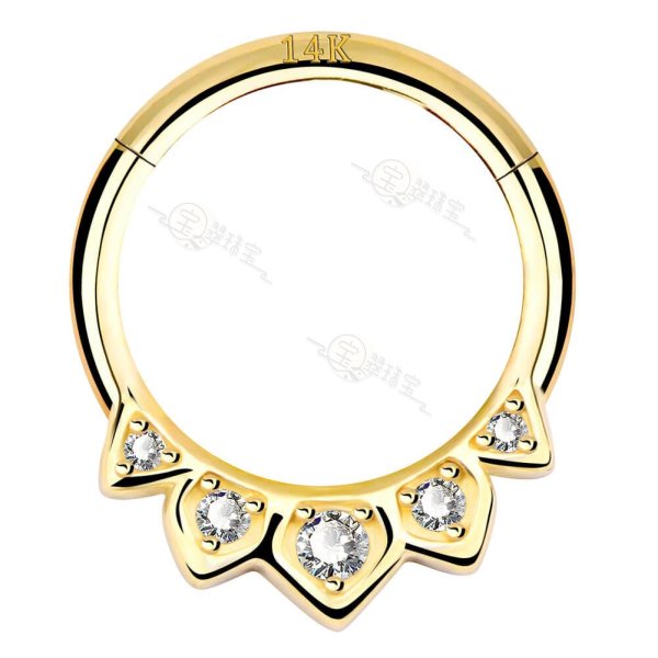 14K Gold 16G Septum Ring CZ Daith Earring